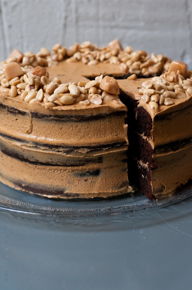 Chocolate Peanut Butter Cake