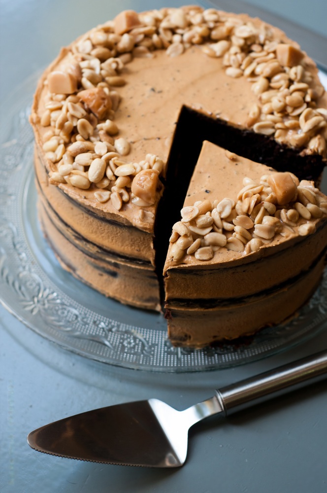 Chocolate Peanut Butter Cake