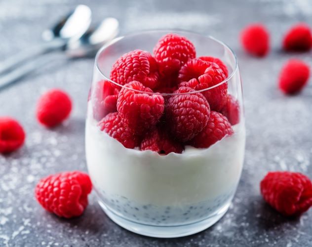 Frozen Yogurt Recipe